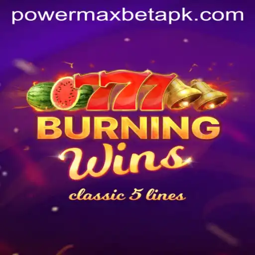 Exploring the Fascinating World of BurningWins and Power MaxBet